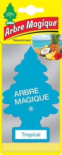 Désodorisant voiture Arbre Magique® Summer cotton - le Club