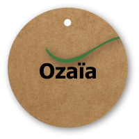 OZAÏA - 2-pack paper air fresheners Vanilla scent